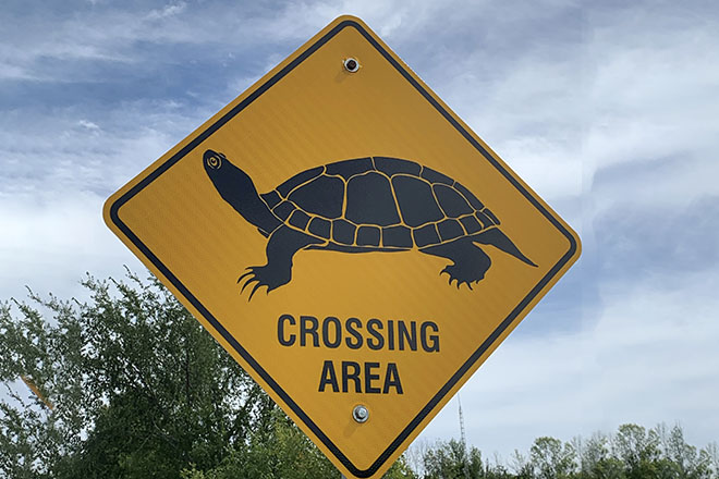 Yellow turtle crossing sign