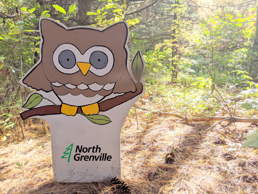 sign post with wood owl on top