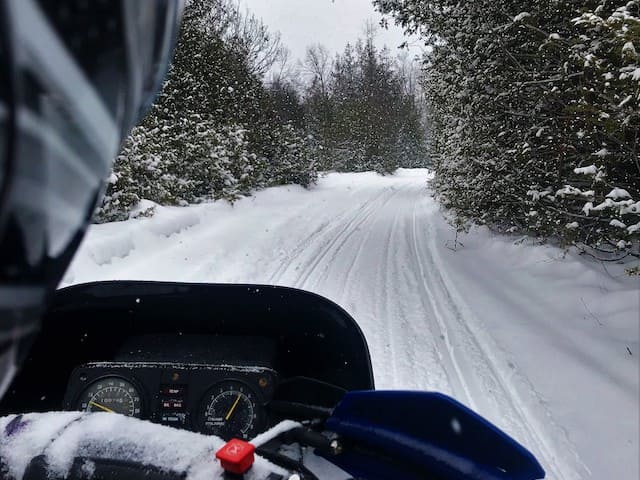 snowmobiling through a forest