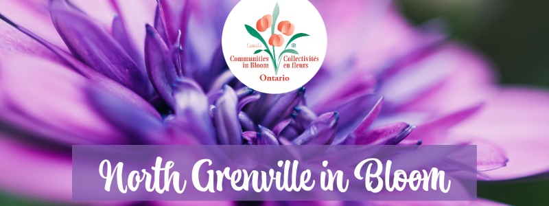 North Grenville in Bloom