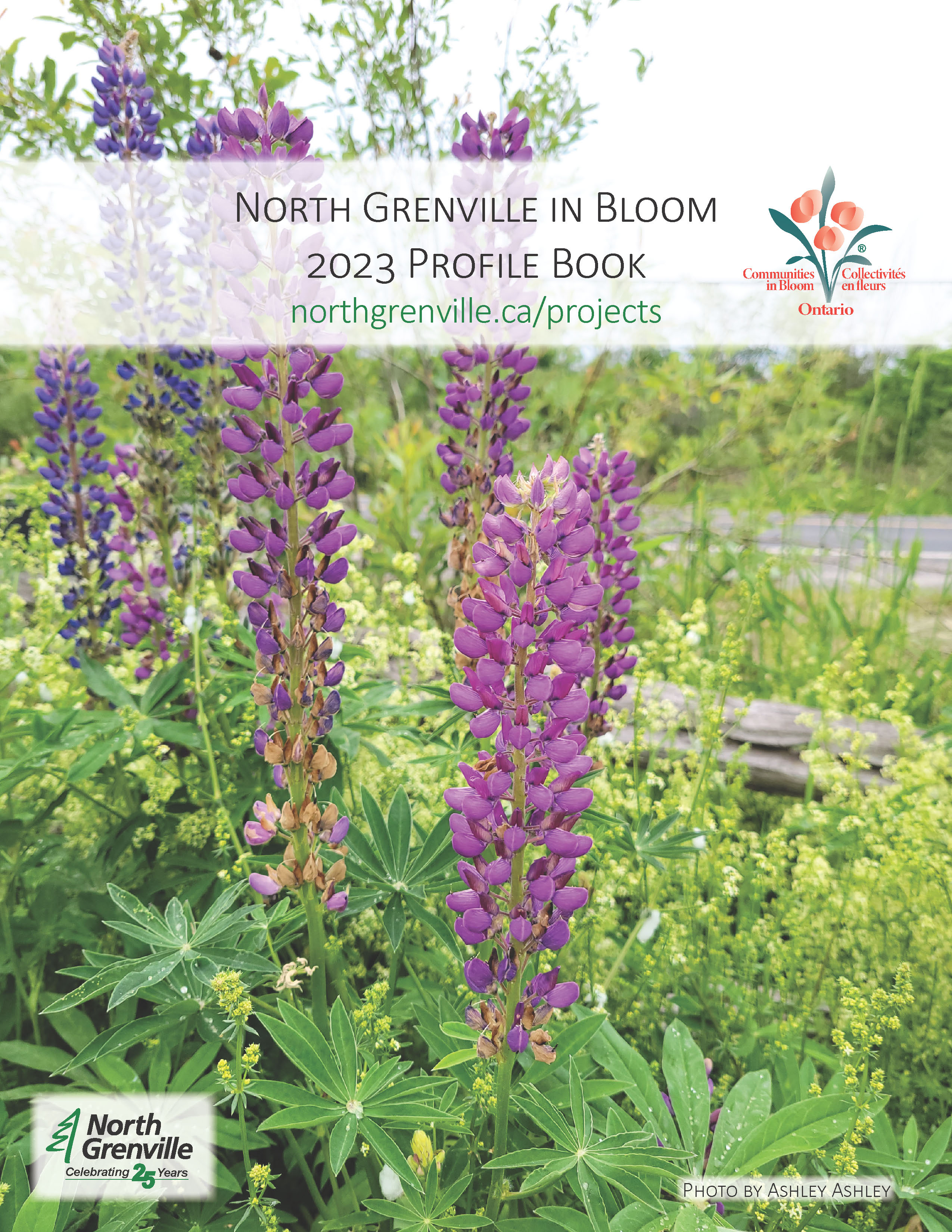 north grenville in bloom profile book