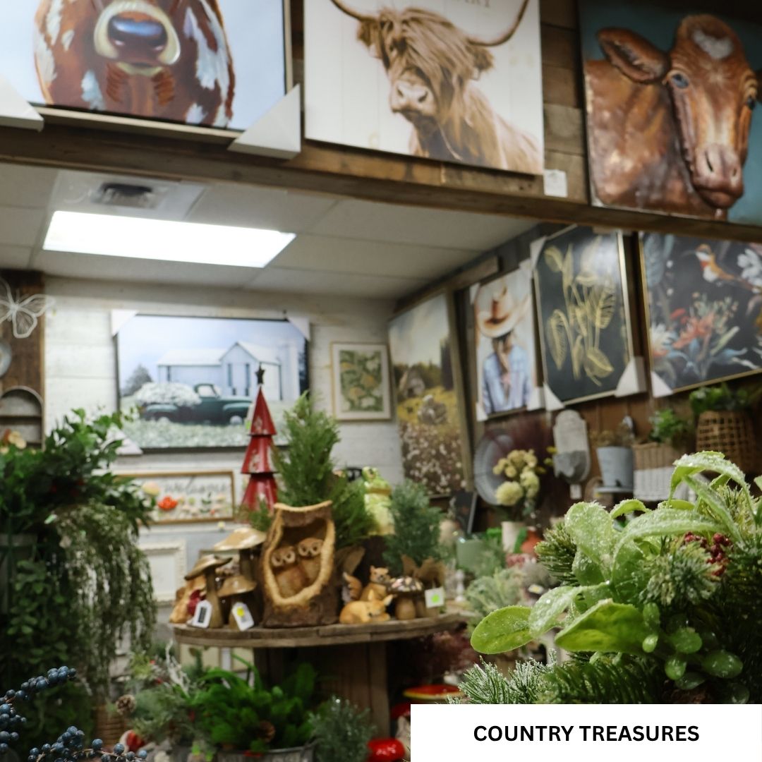Country Treasures Store
