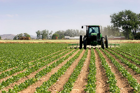 Agriculture field being plowed by a tractor