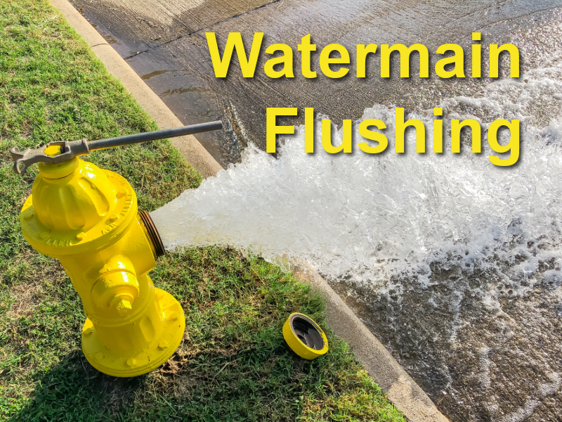 Water main flushing