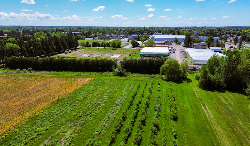 Ferguson Forest Nursery