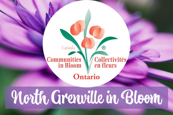 Communities in Bloom