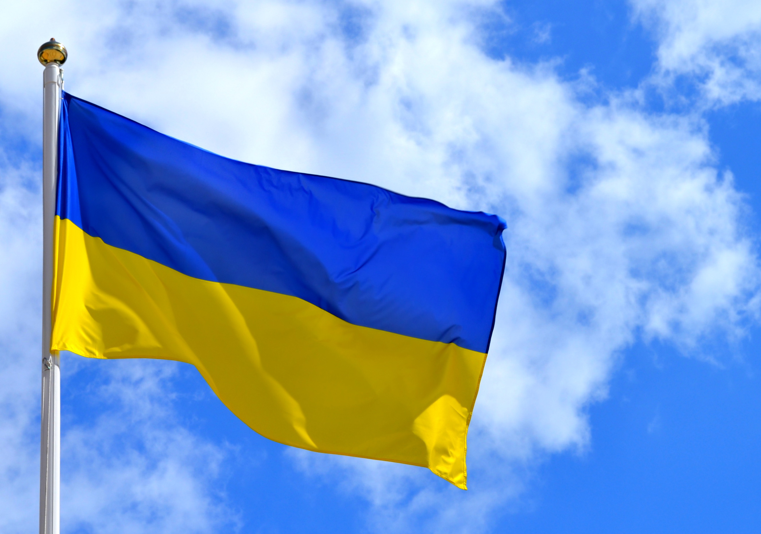 Ukrainian Flag