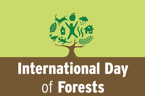 International Day of Forests