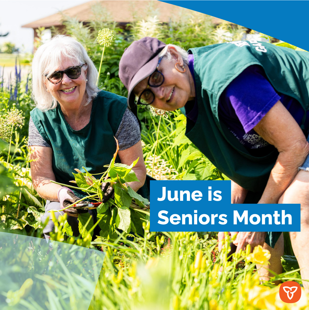 June is Seniors' Month