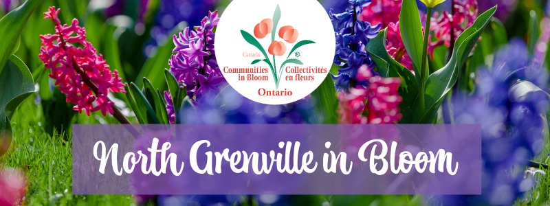 Communities in Bloom North Grenville