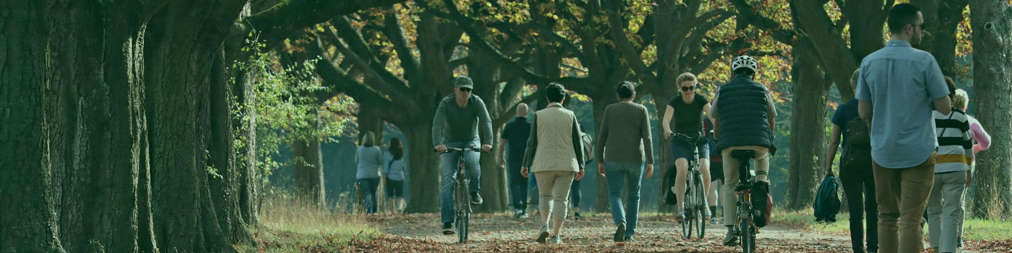 People walking and biking on a trail