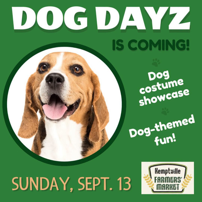 dogDaze.jpg