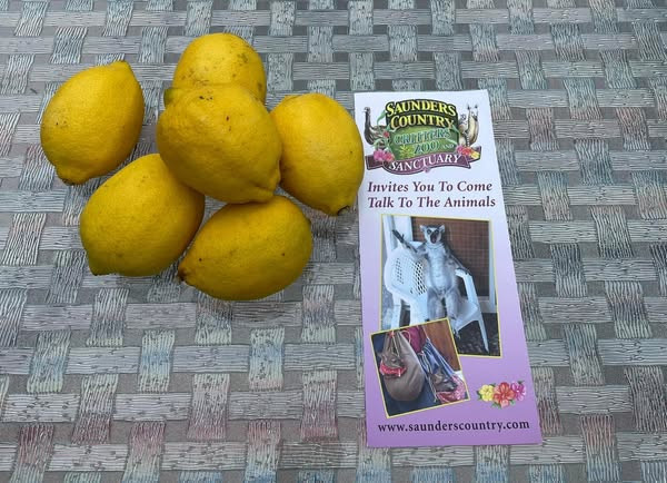 lemons.jpg
