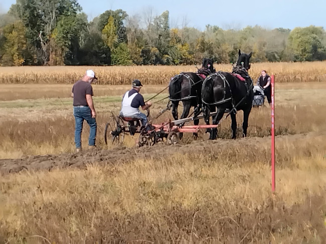 plowing.jpg