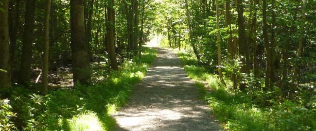trail.jpg