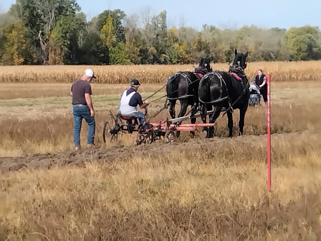 plowing.jpg