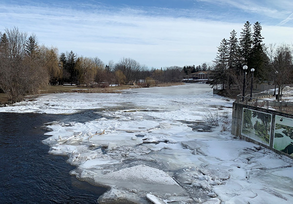 Kemptville Creek with breaking and melting ice covering most of the water surface.