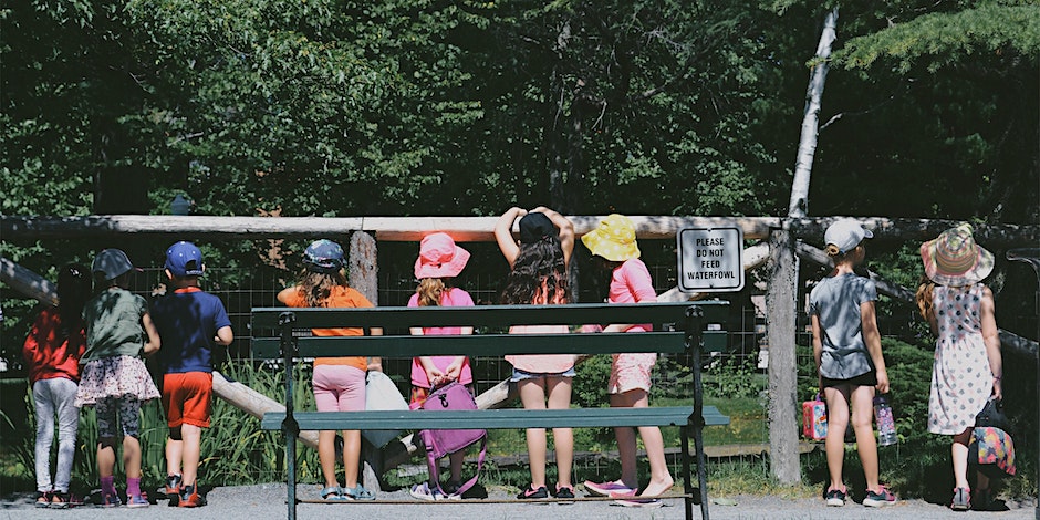 Kids line up along a fence to peek into an animal pen at a zoo animal sanctuary 