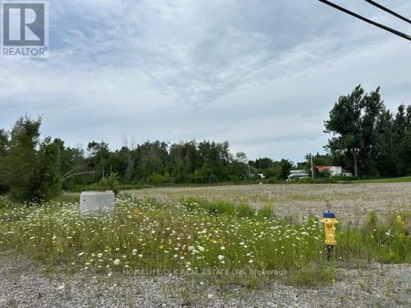 262 County Rd 44