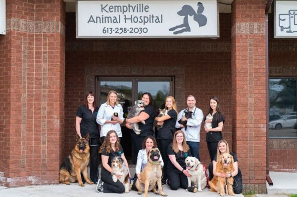 Kemptville Animal Hospital