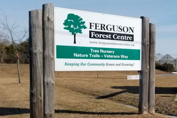 Ferguson Tree Nursery