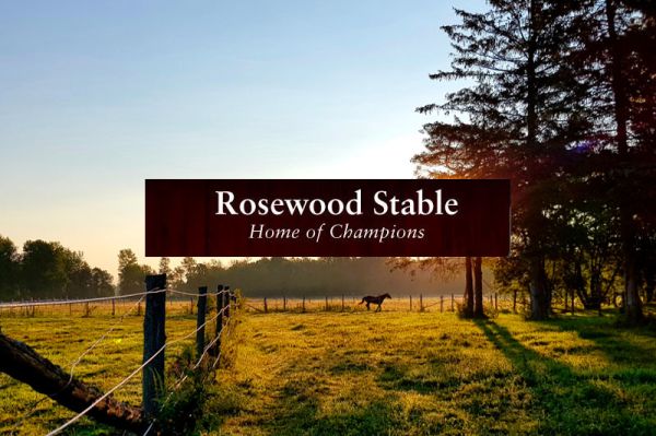 Rosewood Stable