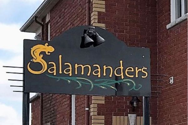 Salamanders