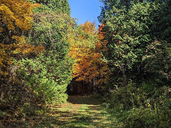 Poplar Grove Trail