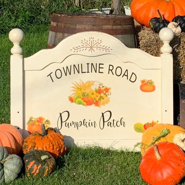 Townline Road Pumpkin Patch