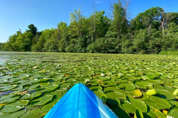 Rideau River Provincial Park